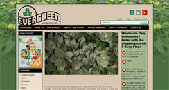Desktop Screenshot of evergreennurseryinc.net